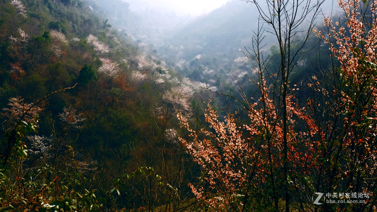 美丽乡村行，看看100t的色彩