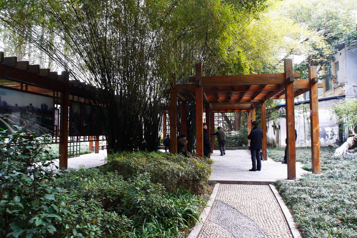 汉阳公园的早晨！