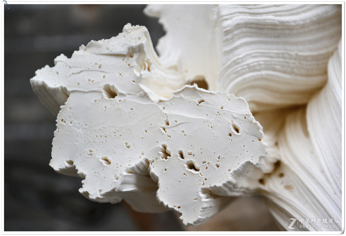 近期用适马18-200镜头拍摄的纪录片！