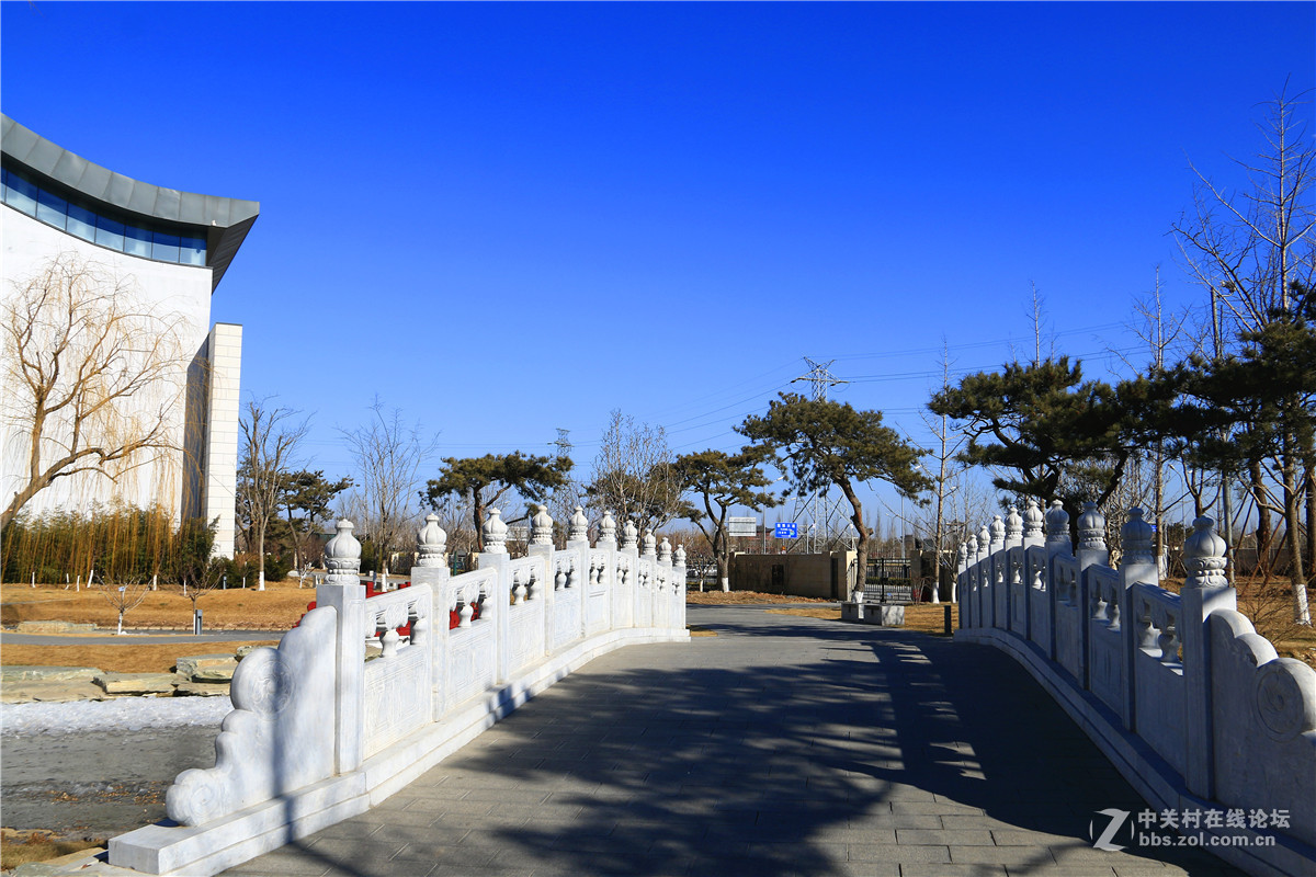 冬拍园博园系列之9.