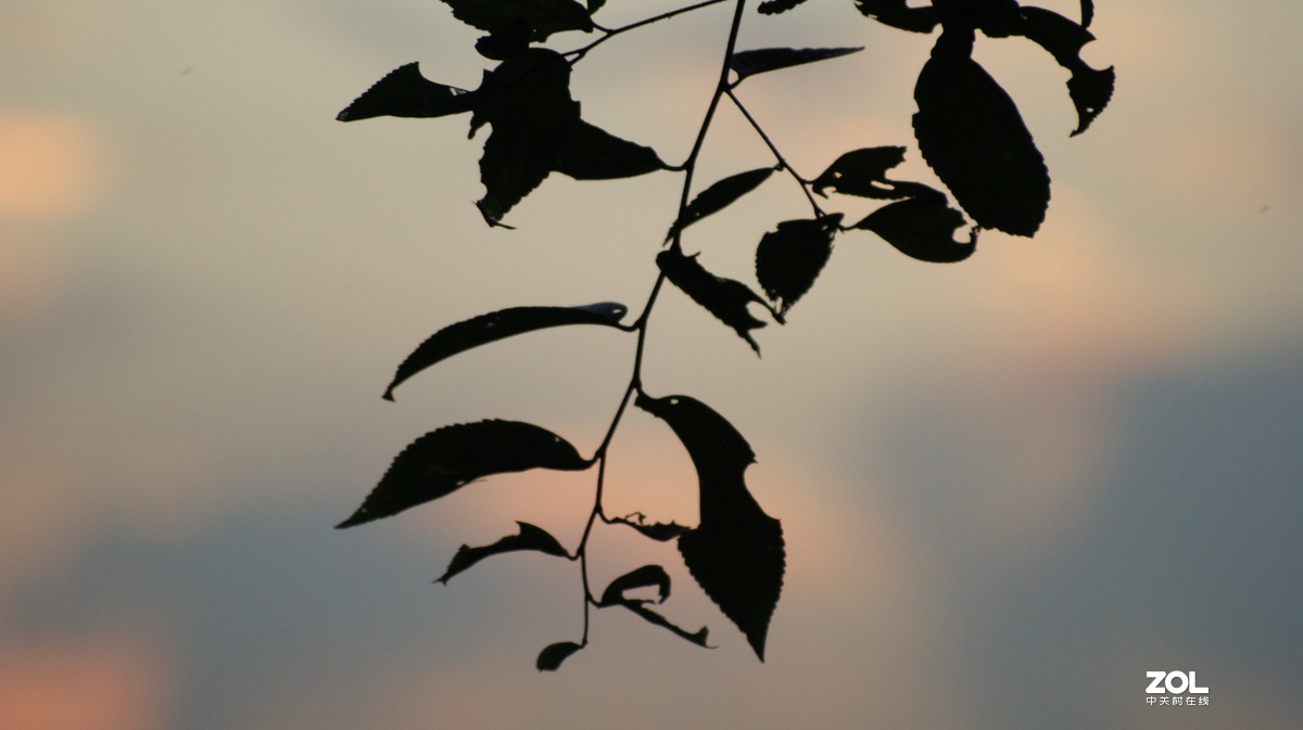 夕阳下的《落日美景》