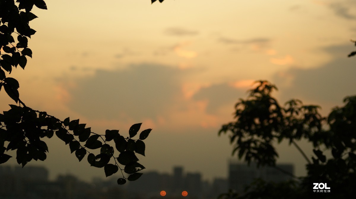夕阳下的《落日美景》