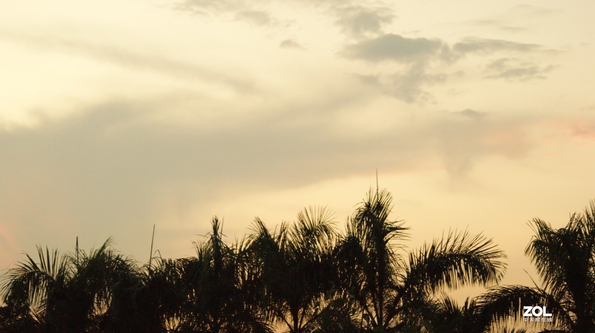 夕阳下的《落日美景》