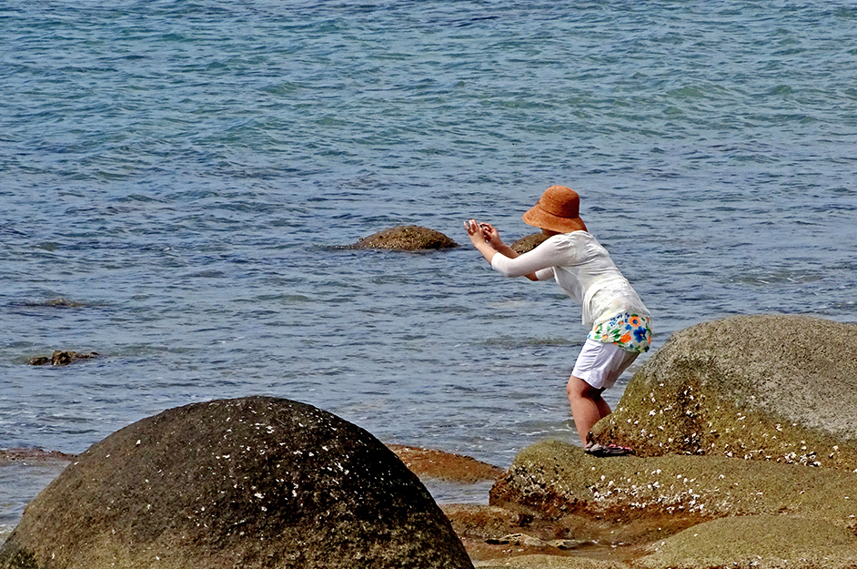 【  让 纱 巾 飘  】