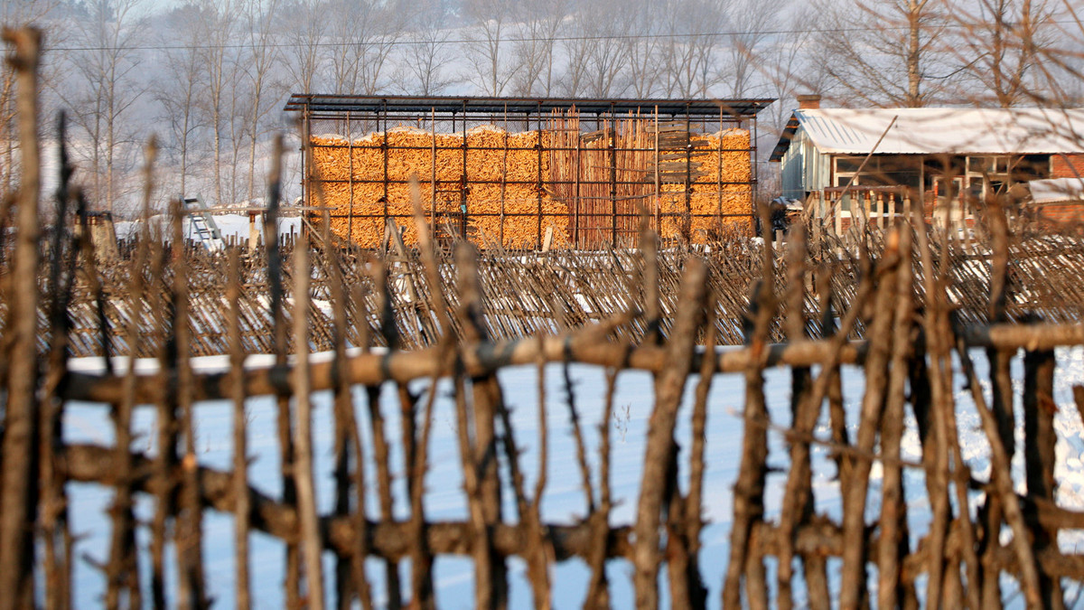 阔别三十年的老家