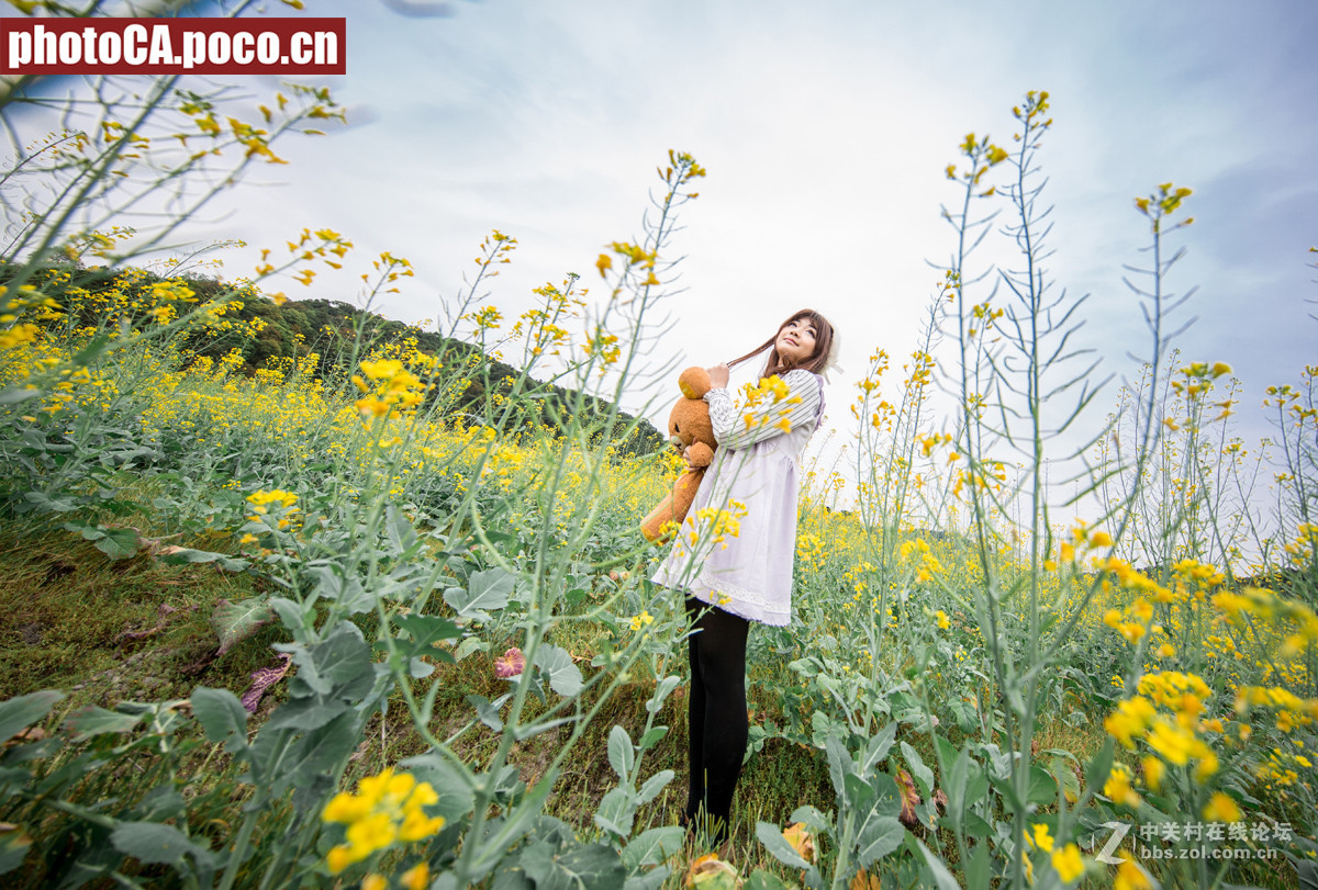 《金灿的时光之旅》--1124实拍大景油菜花人像