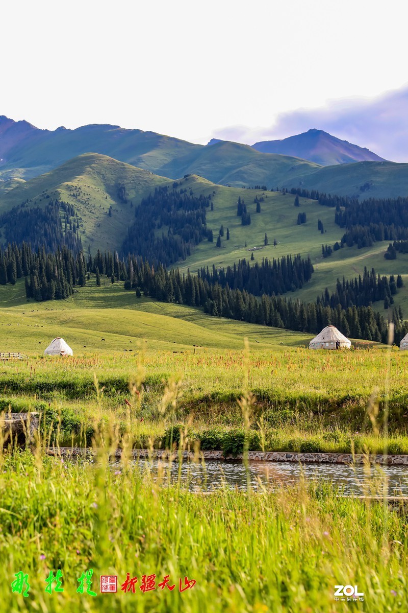 峻美天山【那拉提】【3】竖版
