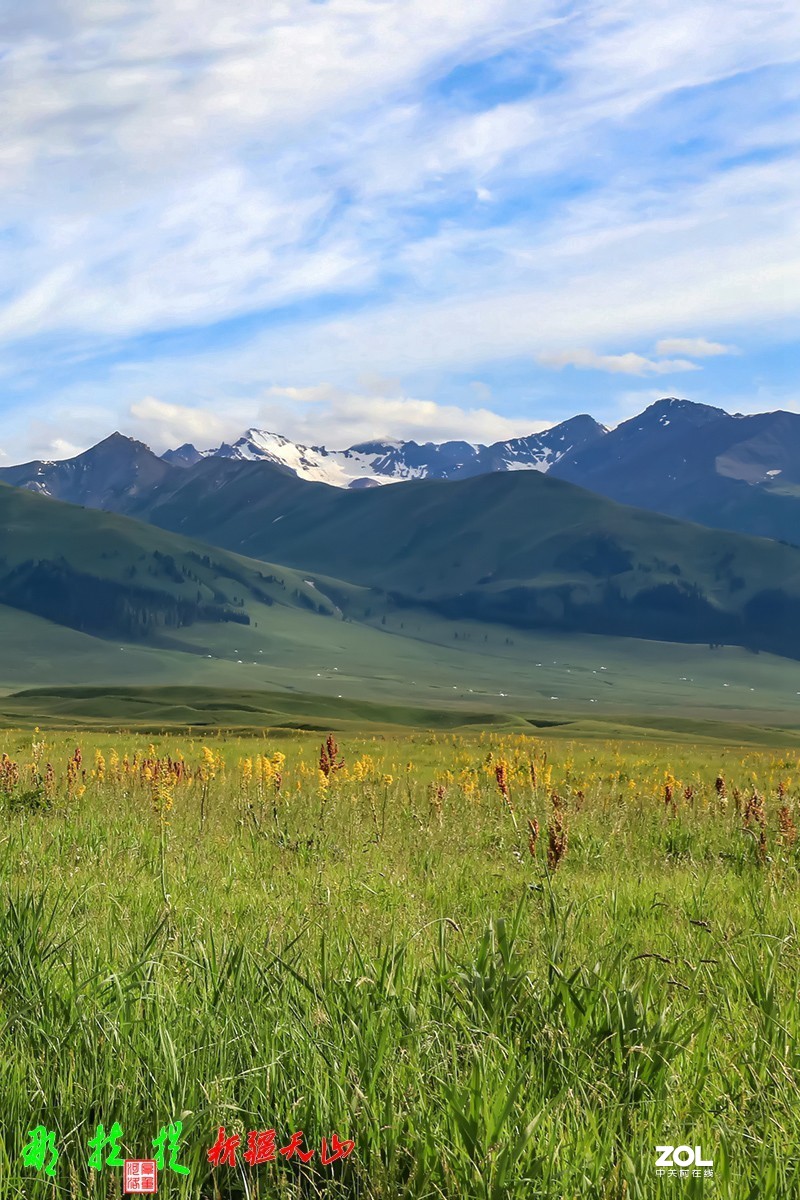 峻美天山【那拉提】【3】竖版