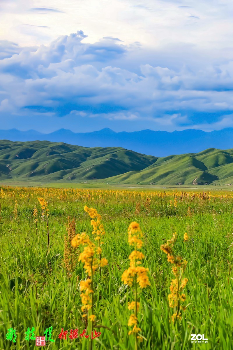 峻美天山【那拉提】【3】竖版