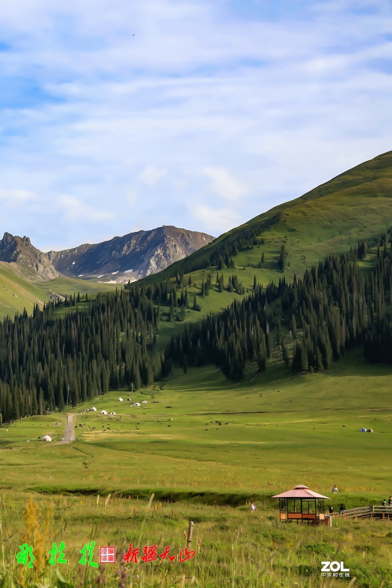 峻美天山【那拉提】【3】竖版