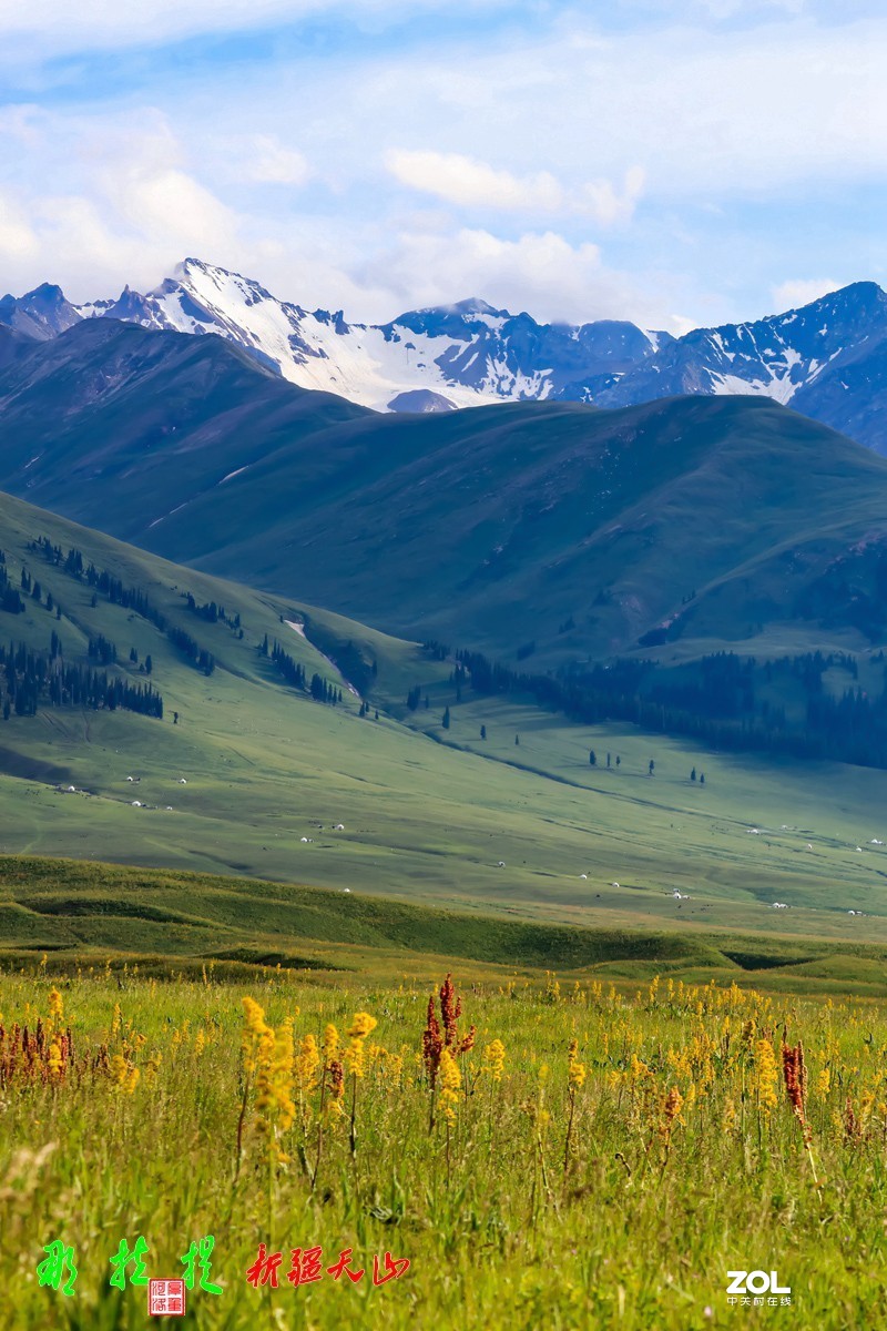 峻美天山【那拉提】【3】竖版
