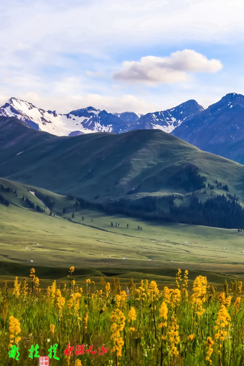 峻美天山【那拉提】【3】竖版