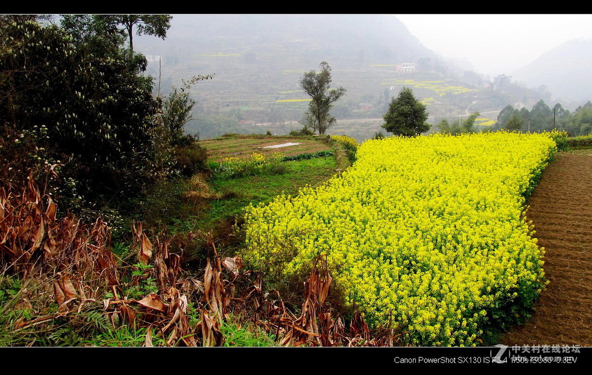 故乡！故乡.......