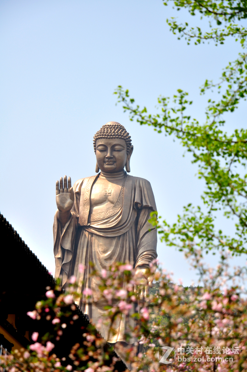 #寻找尼康镜头中最美模特#无锡灵山大佛