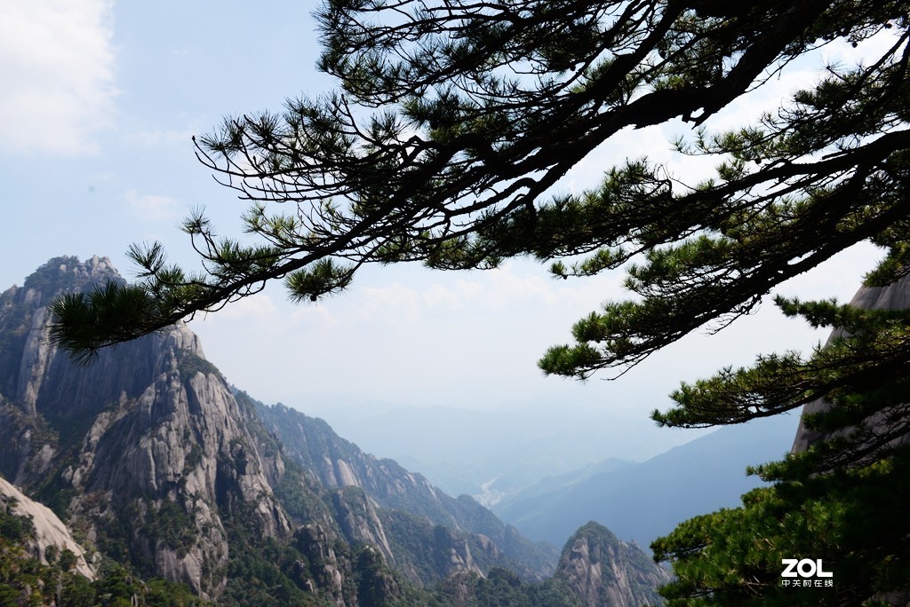 黄山迎客松