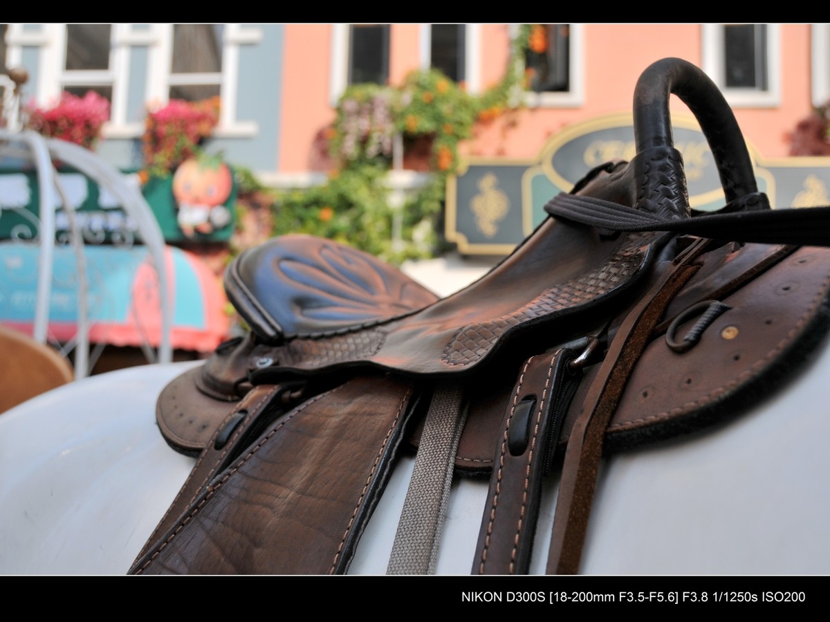 新入尼康18-200VR试镜；画质细腻锐利，色彩鲜艳饱满，好头！