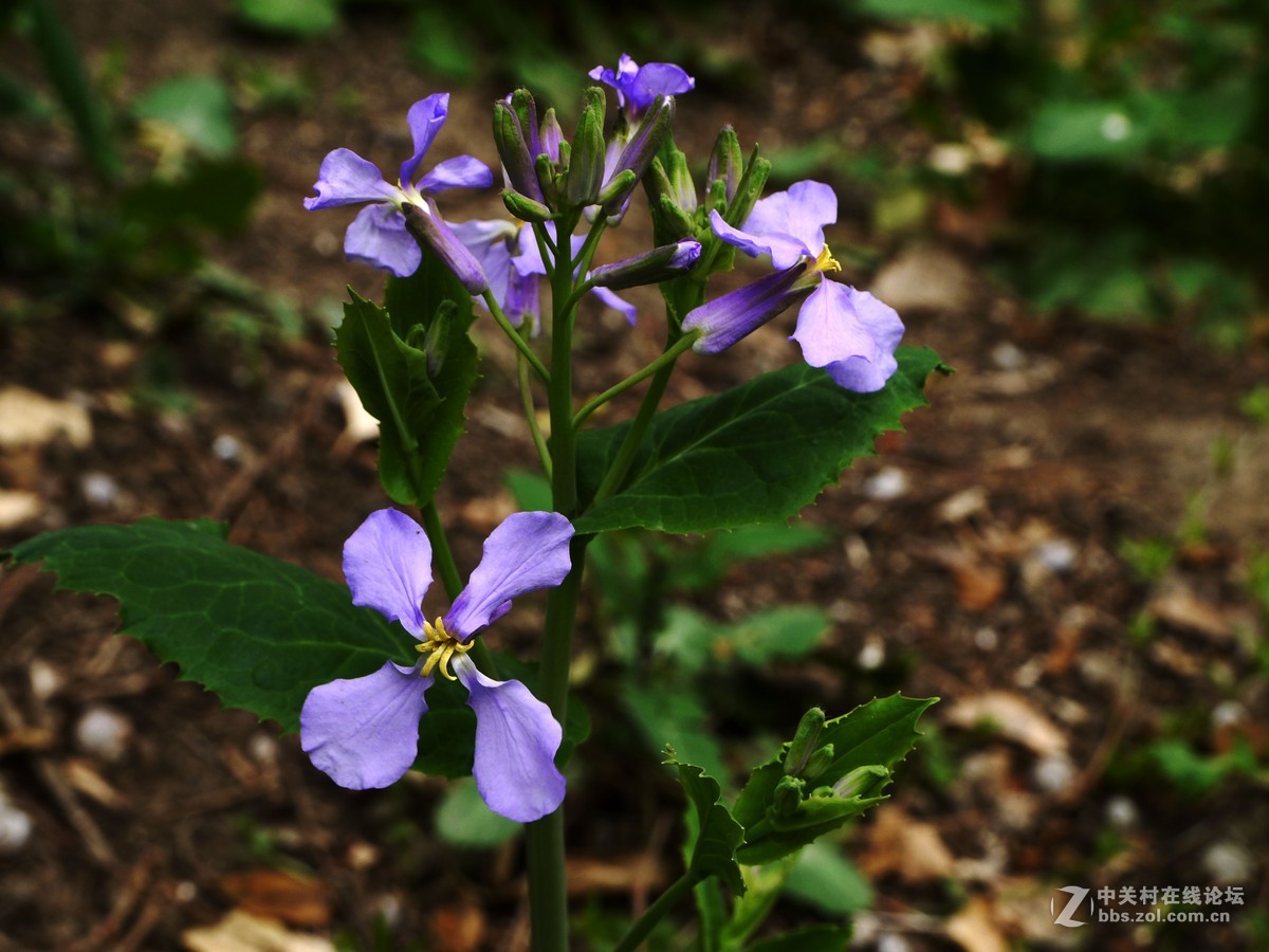 闲着没事，学学简单后期，请大家指点