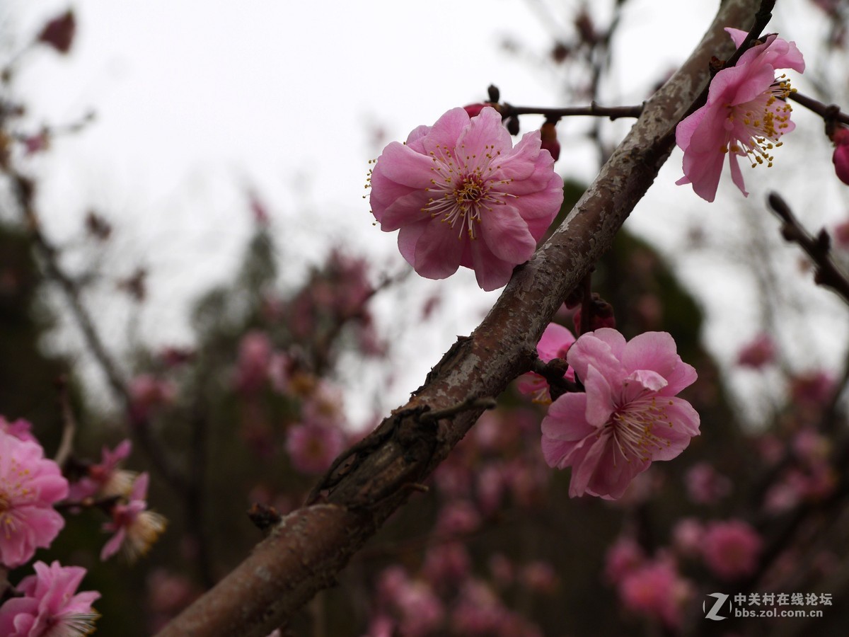 闲着没事，学学简单后期，请大家指点