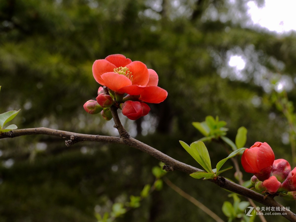 闲着没事，学学简单后期，请大家指点