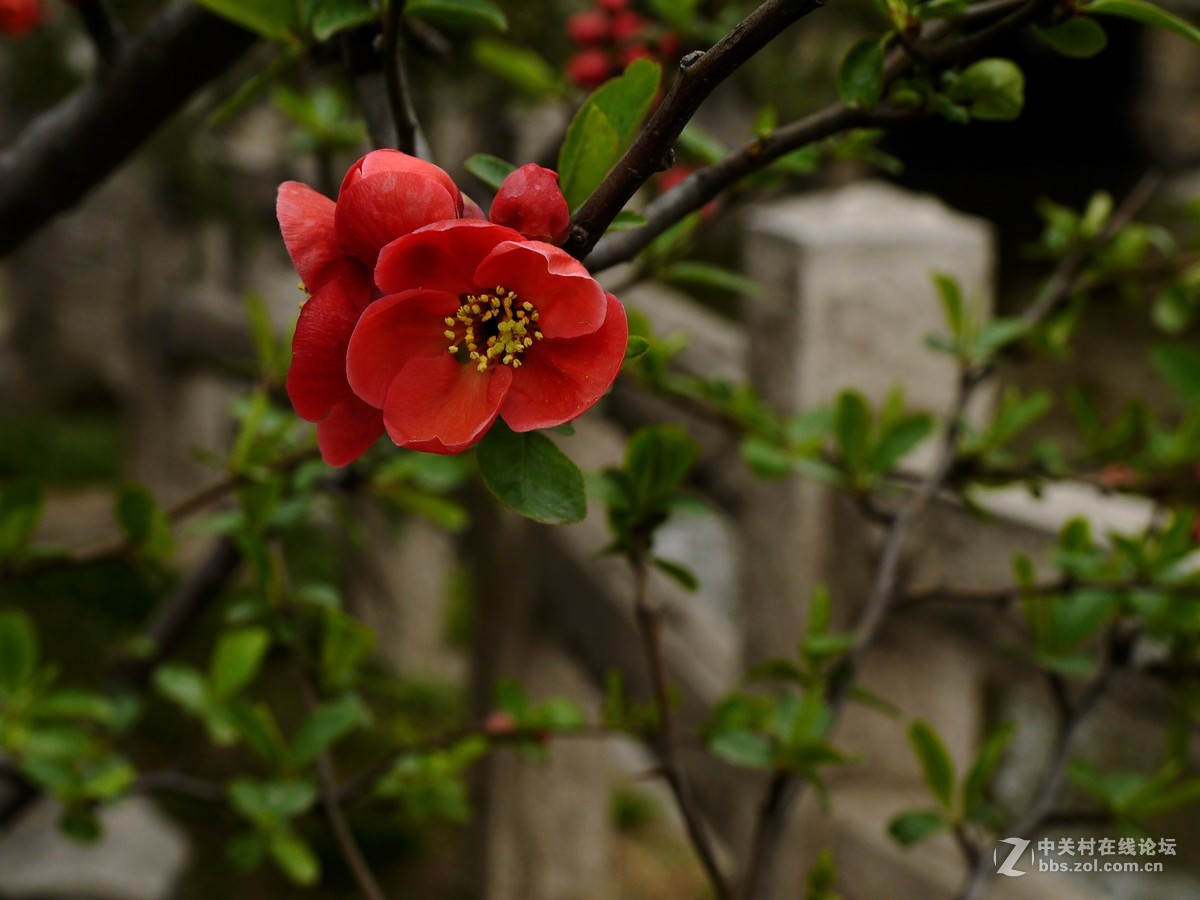 闲着没事，学学简单后期，请大家指点