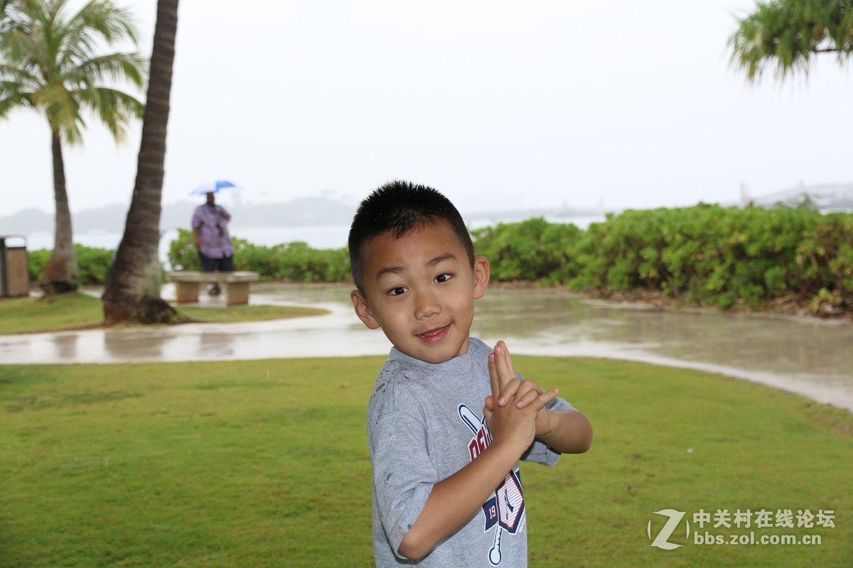 纽约第五大道 帝国大厦 苹果店 夏威夷 随拍