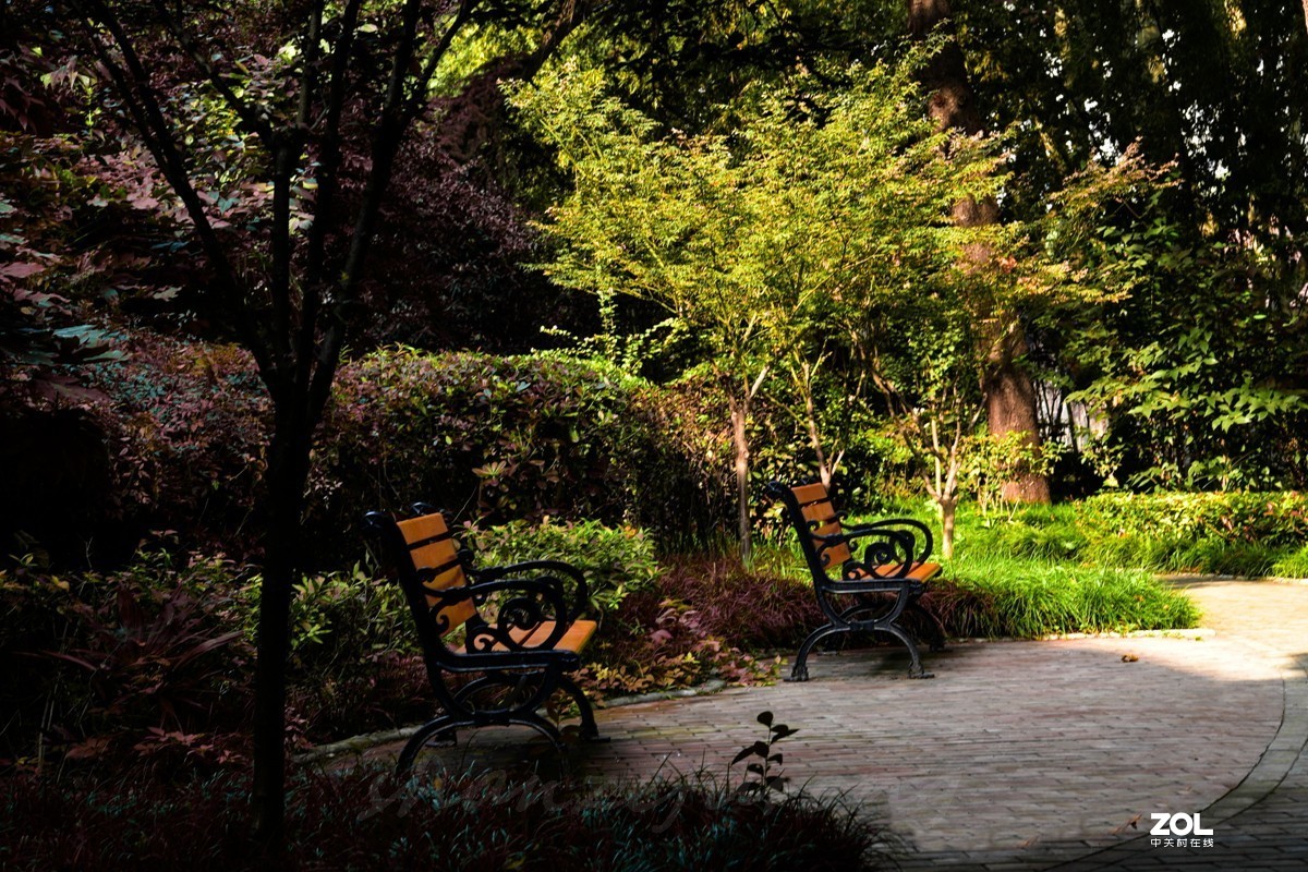 国庆中的西安交大校园