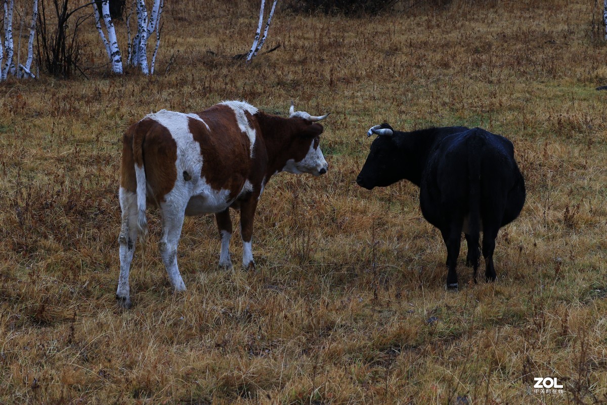 国庆长假七天游