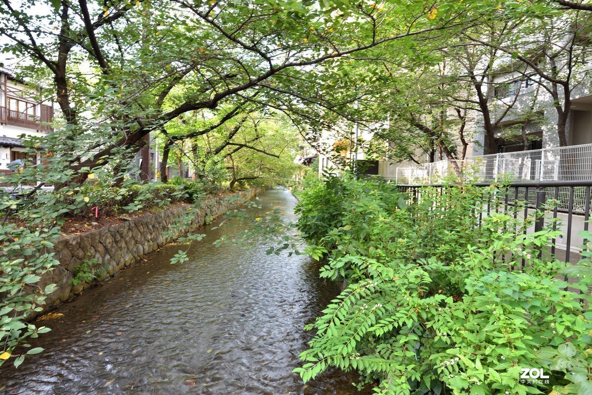 日本京都现代街景