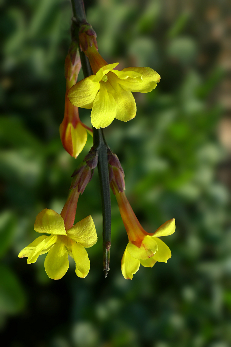 迎来春色换人间3