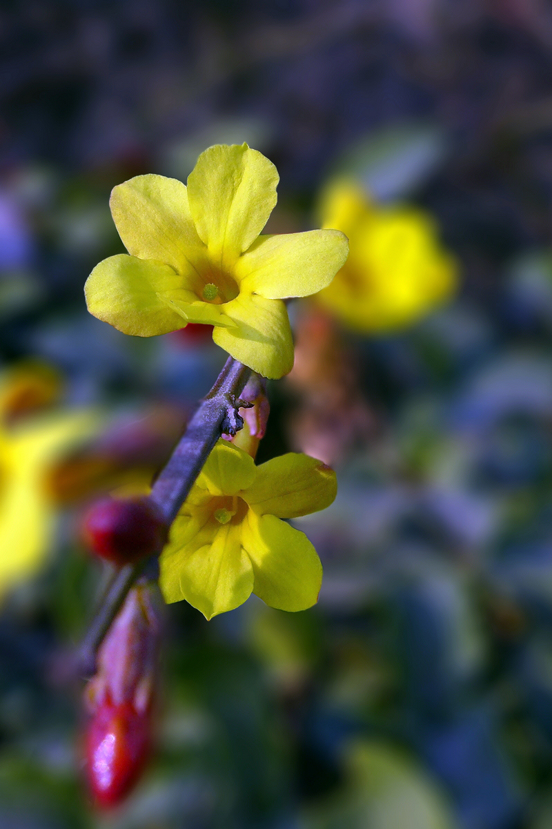 迎来春色换人间3