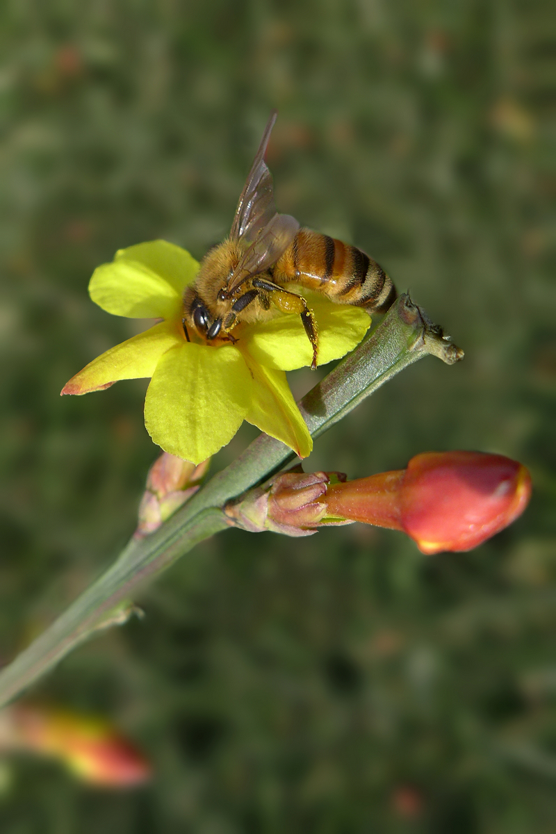 迎来春色换人间3