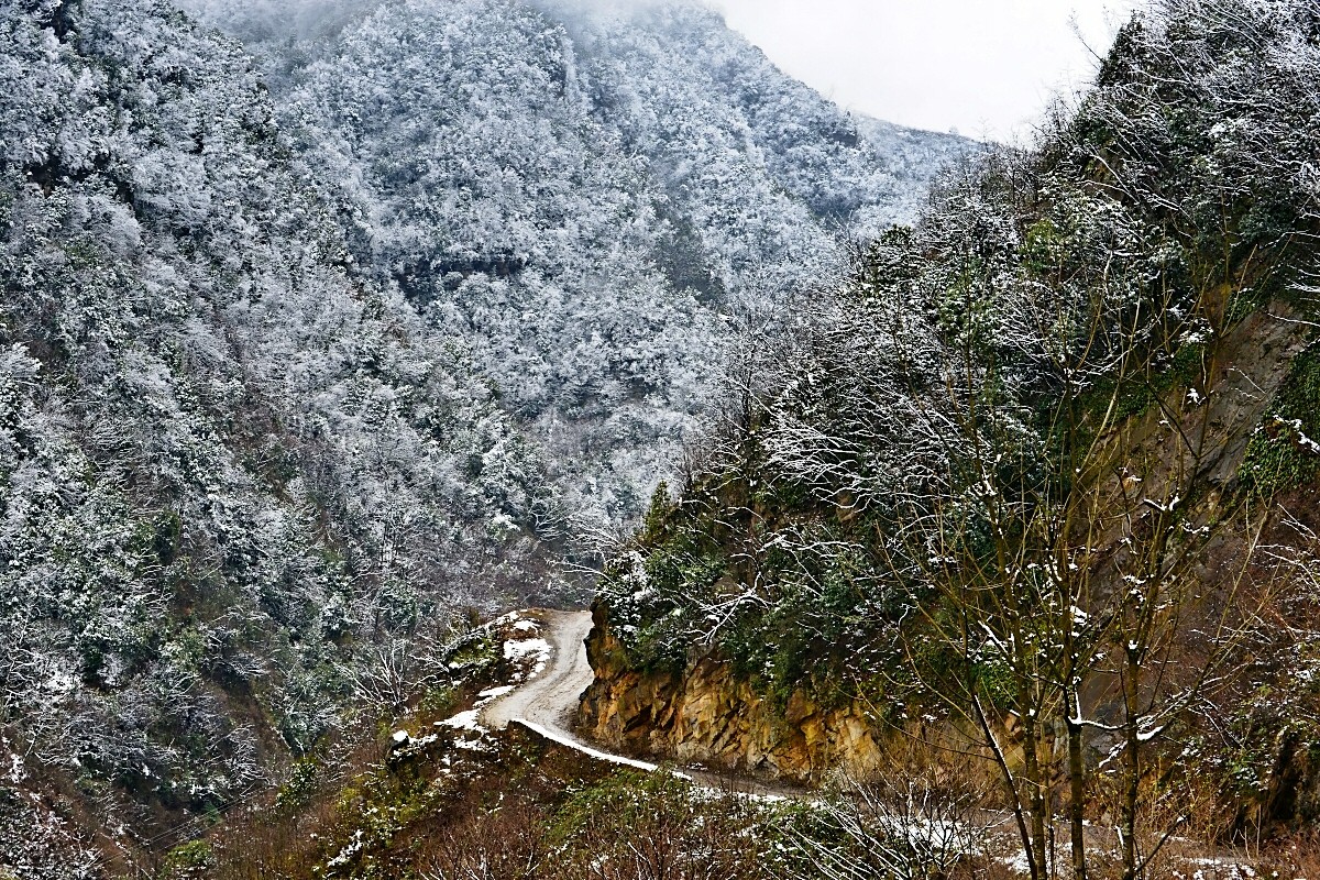 深山寻雪记！