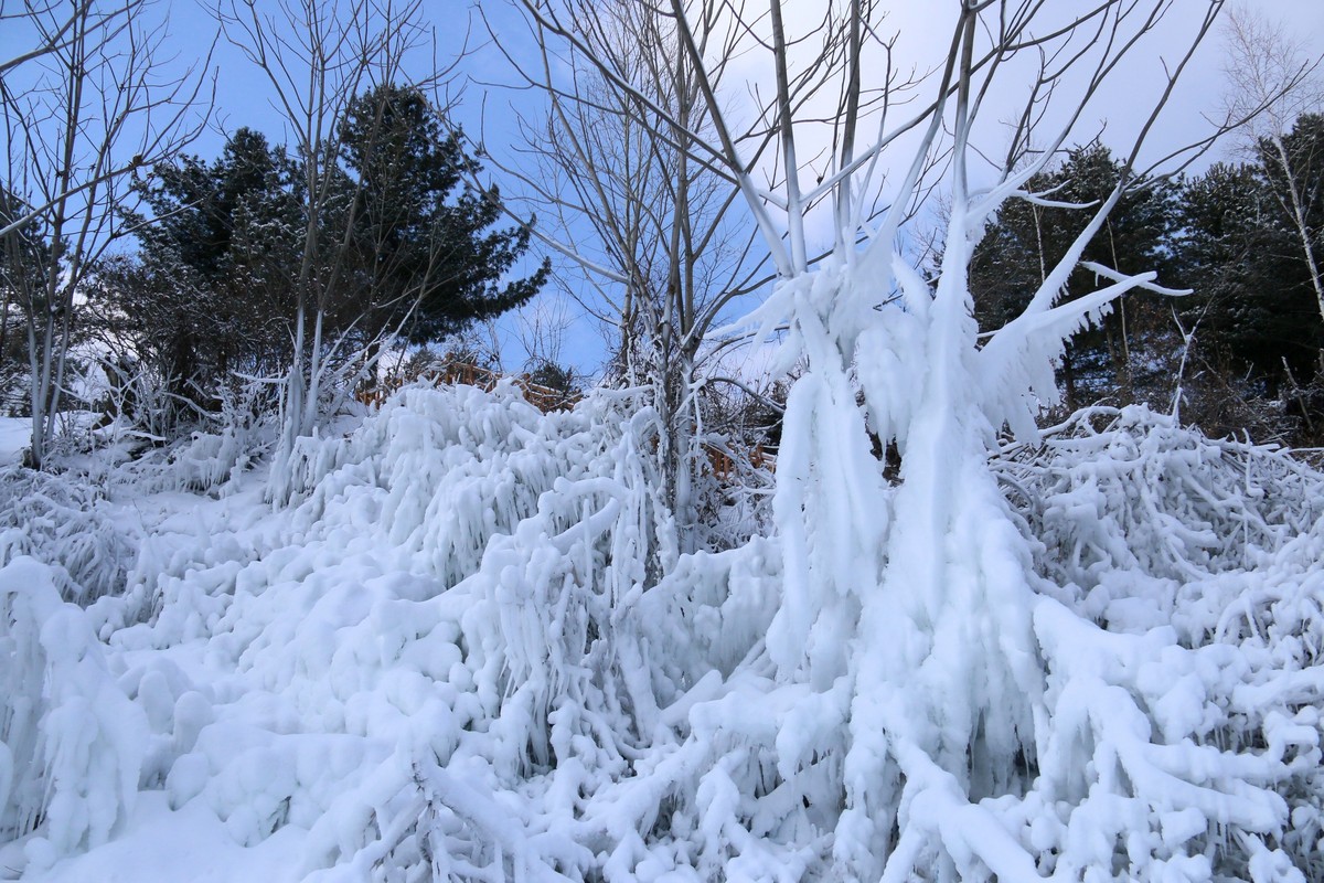 今天随拍一组长白山雪雕，雪景