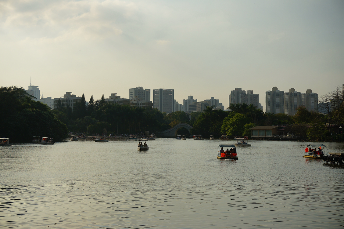 到公园散步拍的