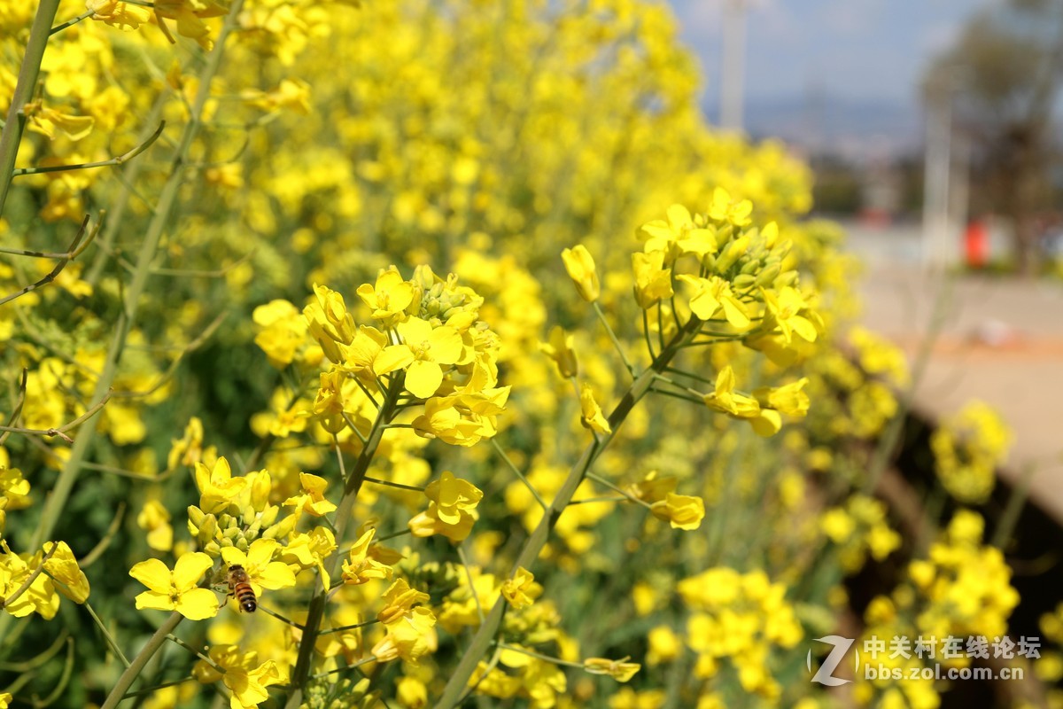 #回家#过年的本质——常回家看看