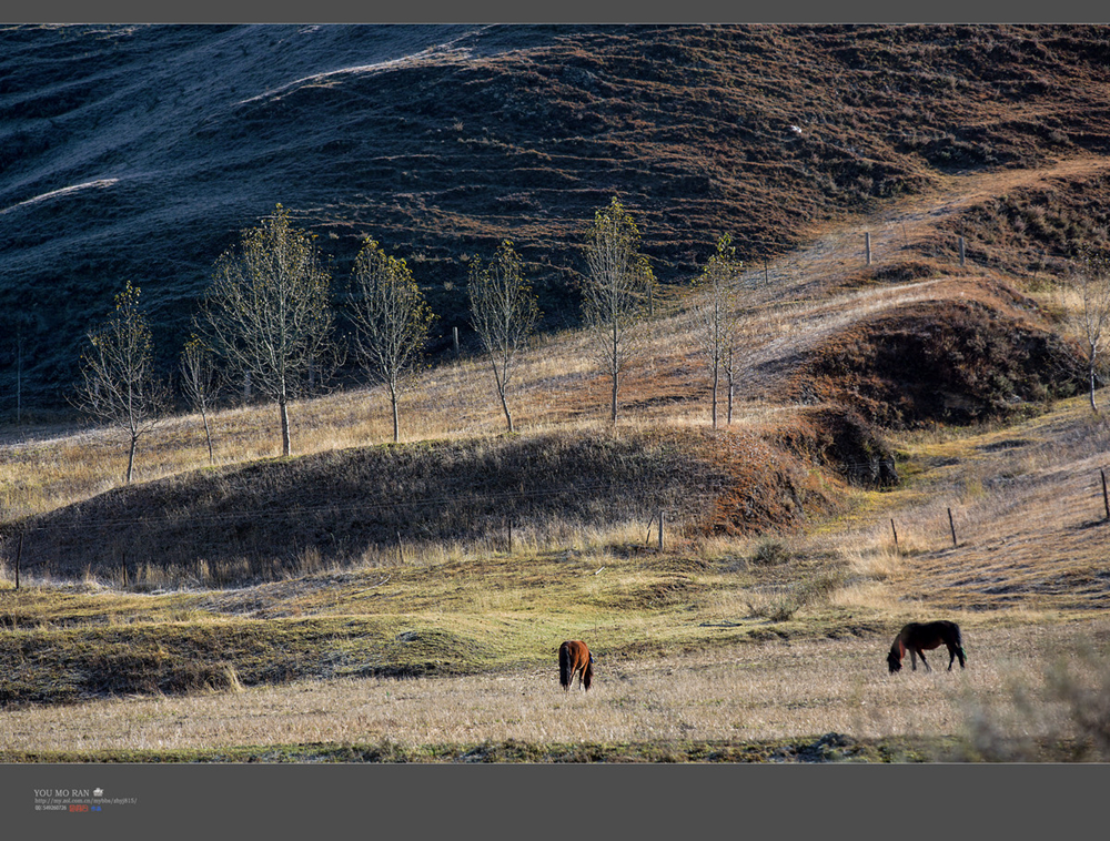 #版主坐堂# 佳能月度精选-2015年1月份优秀作品选编