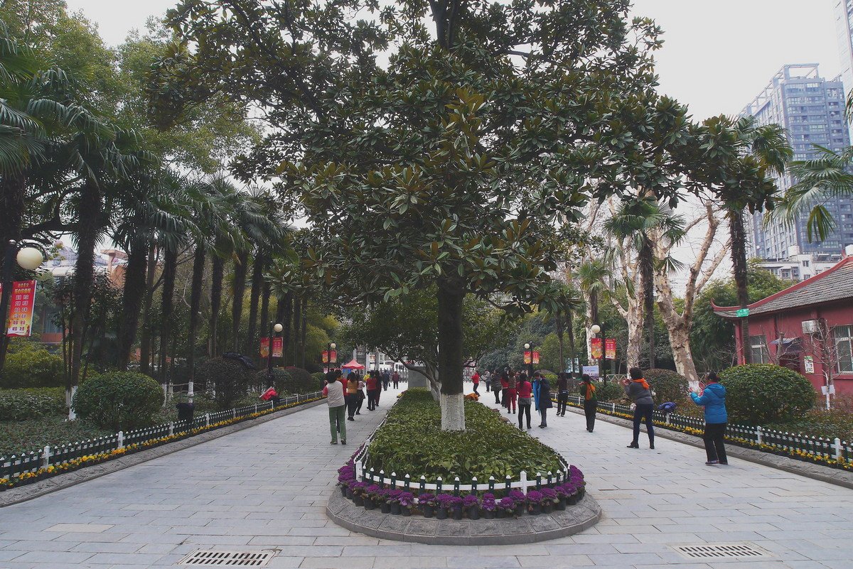 汉阳公园的早晨！