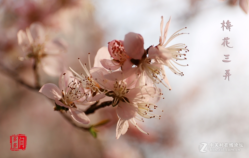 新入佳能6D机试怕