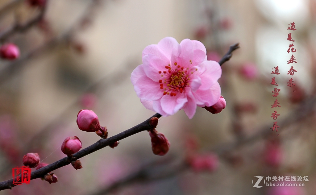 新入佳能6D机试怕