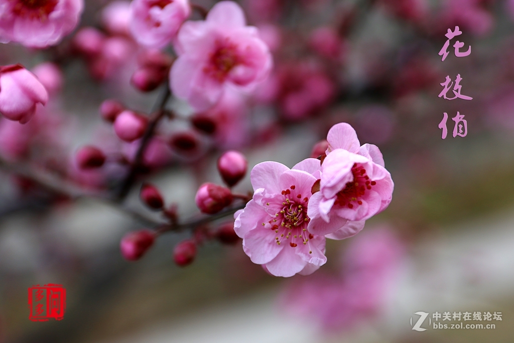 新入佳能6D机试怕