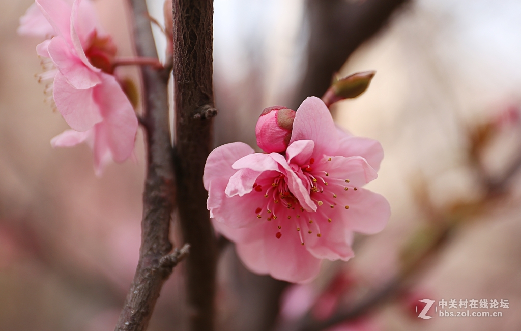 新入佳能6D机试怕