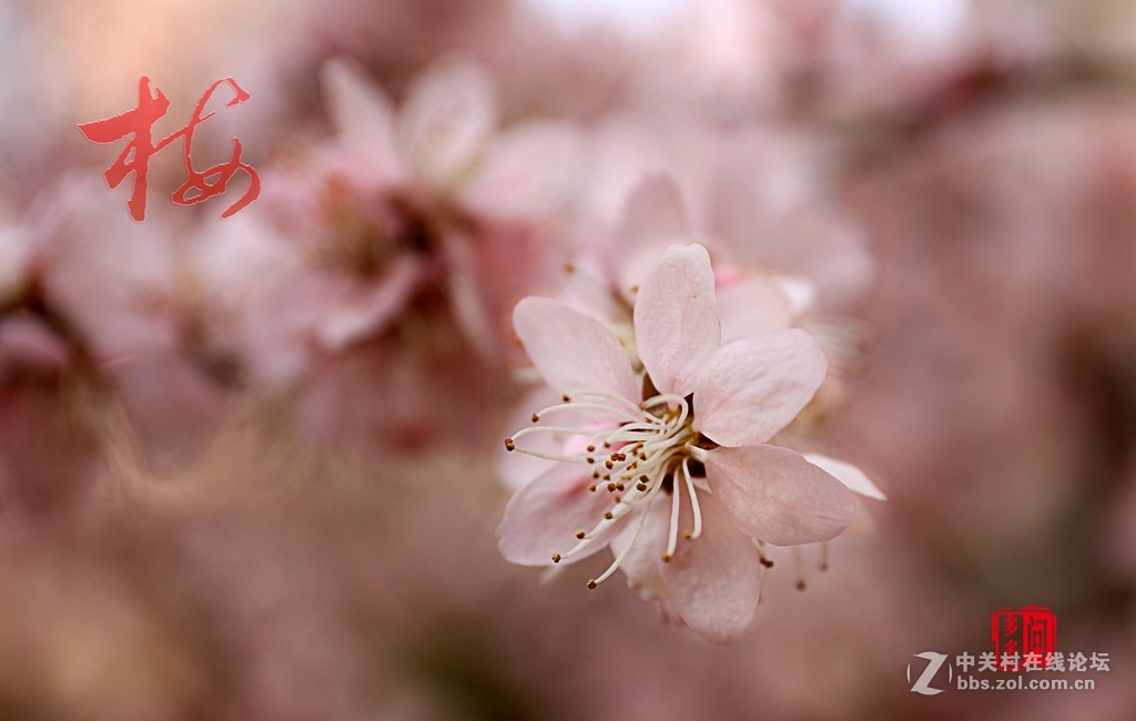 新入佳能6D机试怕