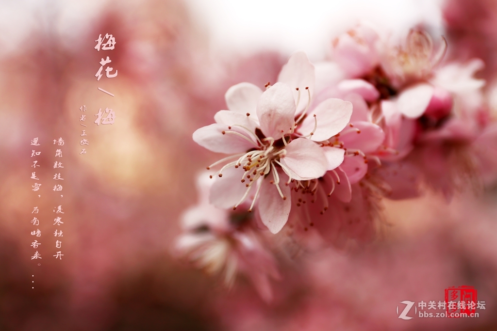 新入佳能6D机试怕