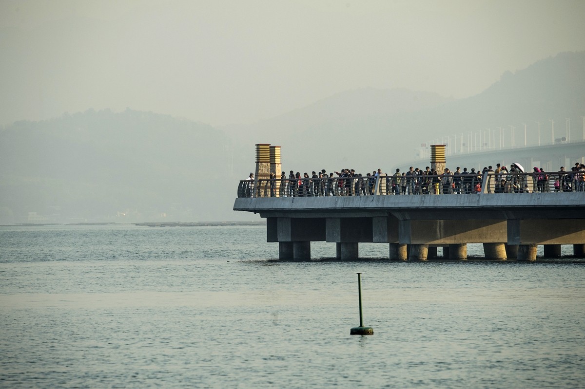 深圳湾观海栈桥图片