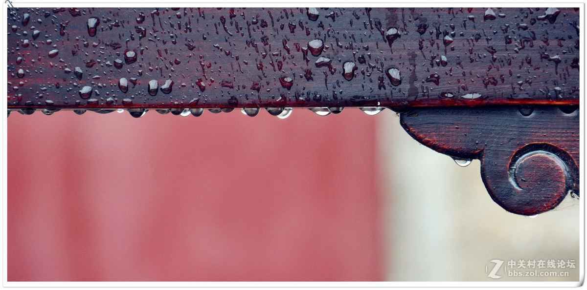 近期用适马18-200镜头拍摄的纪录片！