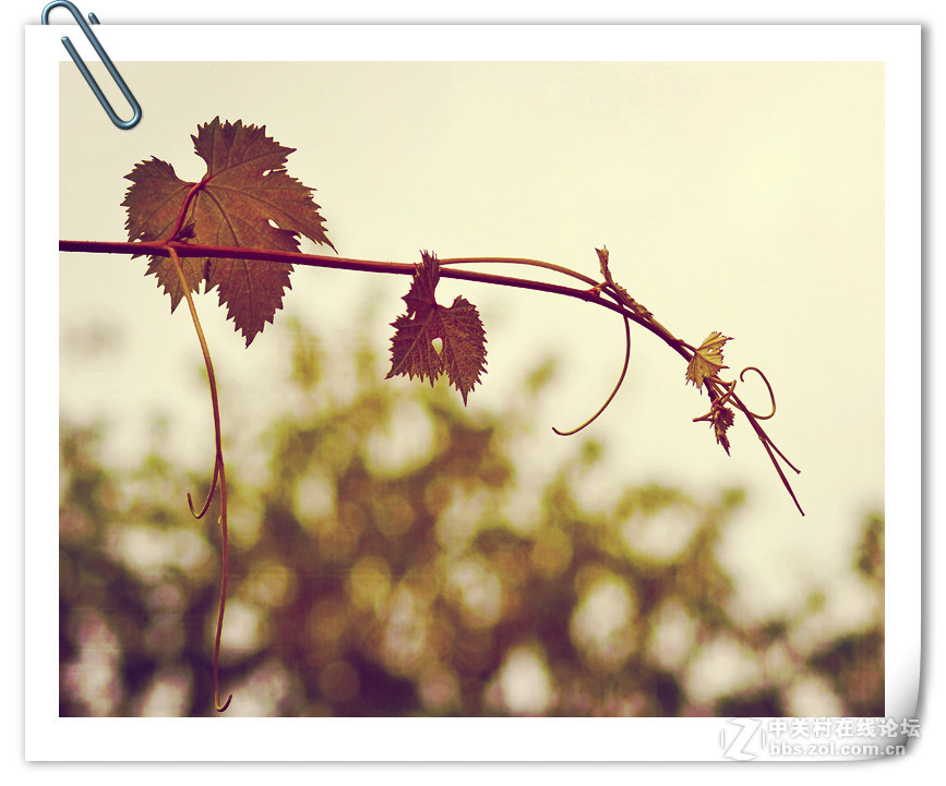 近期用适马18-200镜头拍摄的纪录片！