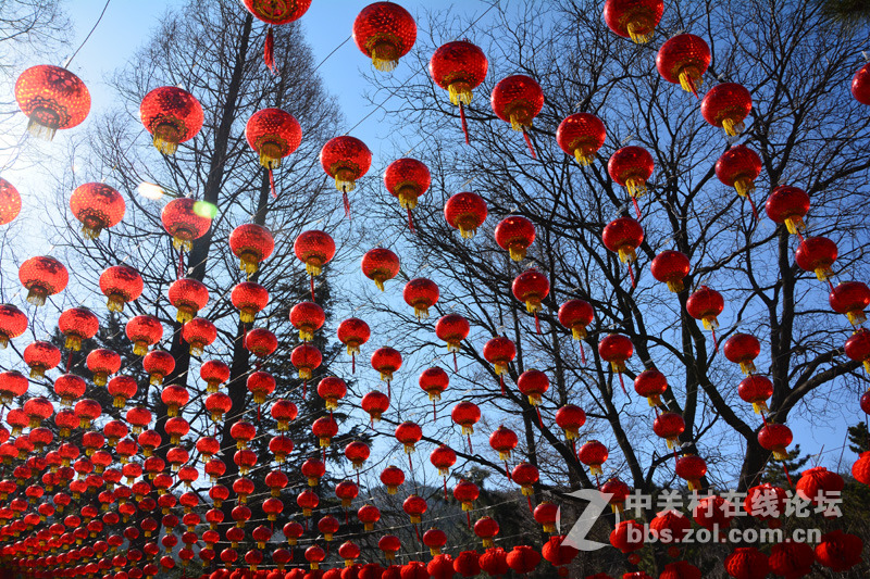 #一个春节，一台相机#新春庙会