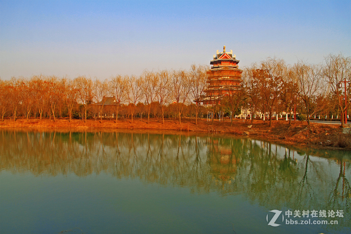 江蘇邳州沙溝湖水杉公園風景二