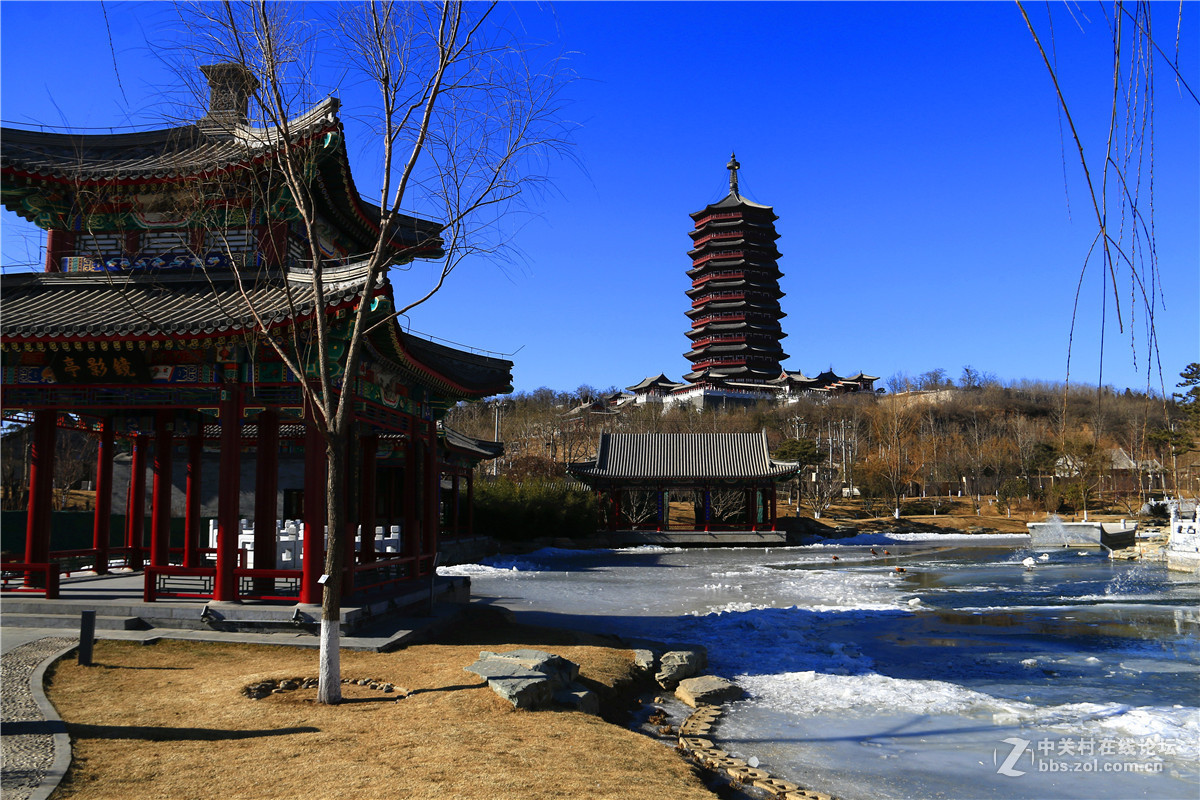 冬拍园博园系列之9.