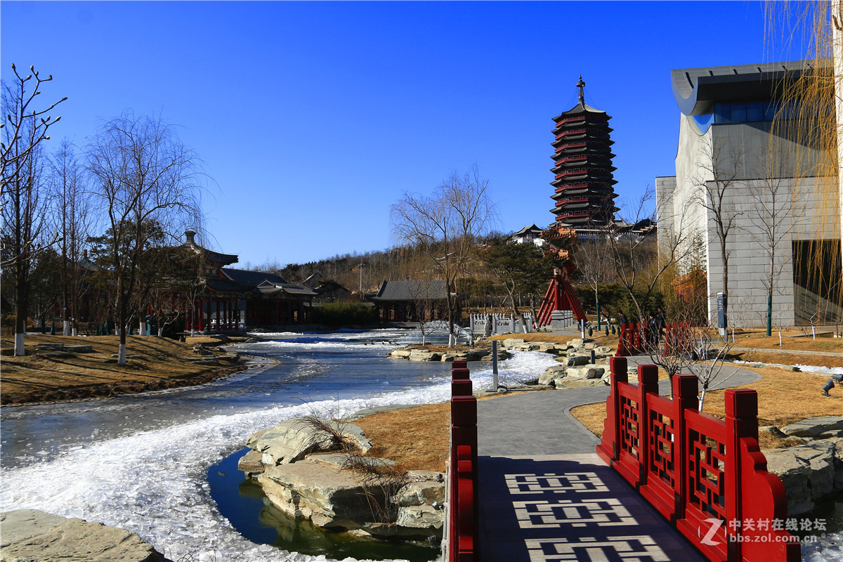 冬拍园博园系列之9.